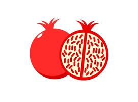 Pomegranate illustration. Pomegranate fruit vector. vector