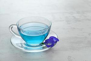 El telang, té de flores de mariposa o té azul es un té de hierbas elaborado con la hierba o infusión de la flor de la planta clitoria ternatea. enfoque selectivo. foto