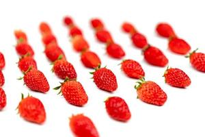 strawberry in the row on white floor background. photo