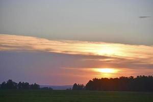 puesta de sol por la noche en el bosque nubes azules y rosas y bosque foto