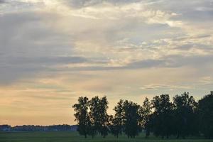 Sunset evening in the forest blue and pink clouds and forest photo