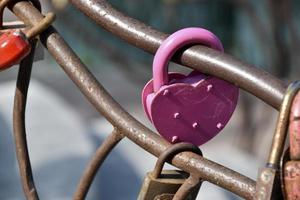 candados de amor en la valla de la valla de hierro en el parque foto