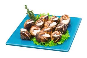 Escargot snails on a plate with lettuce photo