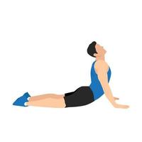Man doing Cobra abdominal stretch. Old horse stretch. Abdominals exercise. Flat vector illustration isolated on white background.
