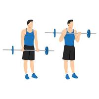 Man doing Barbell curls exercise. Standing bicep curl.Arm workout. Flat vector illustration of a fitness man isolated on white background