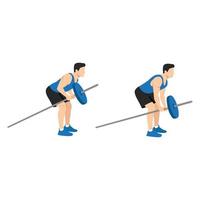 Man doing bent over T bar row. Top body workout. Upper body exercises. Flat vector illustration isolated on white background