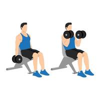 Man doing seated dumbbell bicep curls exercise. Flat vector illustration isolated on white background