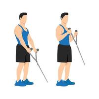 hombre haciendo ejercicios de curl de bíceps con martillo de cable. entrenamiento de brazos ilustración vectorial plana de un hombre de fitness aislado en fondo blanco