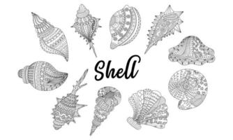 Shells Pattern Set Design in doodle style on white background for digital printing, clothes patterns, elements for designs, bag designs, fabric patterns, cards and more. vector