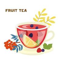 Fruit Tea Glass Cup With Orange, Raspberry, Blueberry, Blackberry, Mint Leaves Vector Illustration. Decorated With Ashberry. Isolated On White.