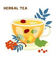 taza de té de hierbas con hojas de menta, frutos de rosa mosqueta, ilustración vectorial de manzanilla. decorado con fresno. aislado en blanco vector