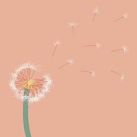 a sprig of dandelion with a soft boho color and the seeds are blown by the wind vector
