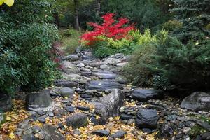 Stream bed and forest during autumn photo