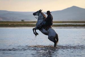 cría de caballos en el agua, kayseri, pavo foto