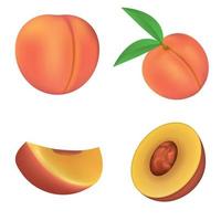 Peach icons set, realistic style vector