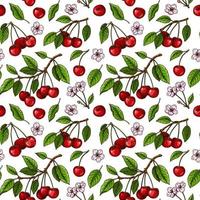 Hand drawn colorful seamless pattern with cherry berries and flowers. Vector illustration in colored sketch style