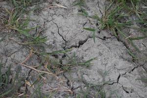drought ground , earth photo