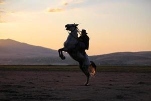 Horse Rearing in Field Kayseri, Turkey photo