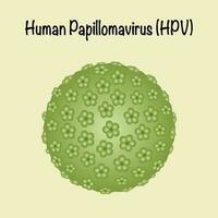 virus del papiloma humano vph vector