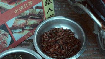 Crawfish in bucket in front of restaurant in China video
