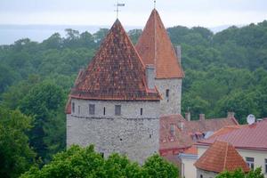 Tallinn city in estonia photo