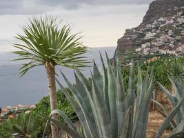 la isla portuguesa madeira foto