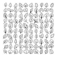 Outline icon leaf vector collection. Botanical tree floral isolated vector set