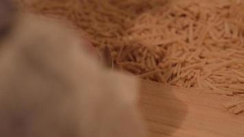 Noodle cutting, noodle making. Woman is cutting noodles with knife. video