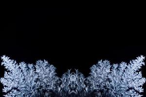 the white snowflakes on a black background photo