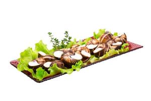 Escargot snails on a tray with lettuce photo