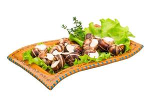 Escargot snails on a plate with lettuce photo