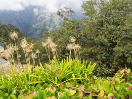 isla de madeira en portugal foto