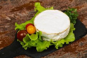 Delicous camembert cheese photo