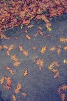 textura y fondo de hoja marrón. textura de fondo de hojas secas foto