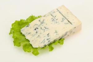 Italian traditional gorgonzola cheese isolated photo