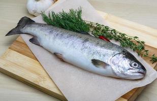 Raw trout on a board photo