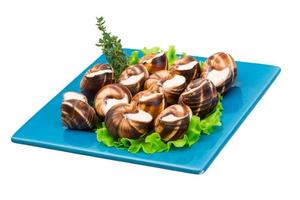 Escargot snails on a plate with lettuce photo