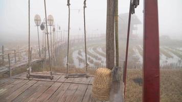 walkway made of bamboo weaves together in a long way with swings in the misty morning. video