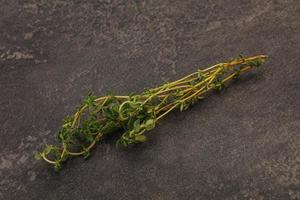 Aroma Fresh green thyme branch photo