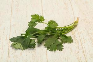 Fresh ripe  Green cilantro leaves photo