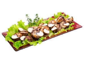 Escargot snails on a plate with lettuce photo