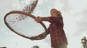 agricultor latino trabalhando na colheita de café em um dia ensolarado no campo, peneirando grãos de café. 4k cinematográfico video