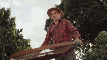 agricultor latino trabalhando na colheita de café em um dia ensolarado no campo, peneirando grãos de café. 4k cinematográfico video