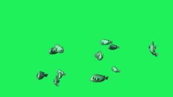 animación peces de dibujos animados verde sobre fondo verde.