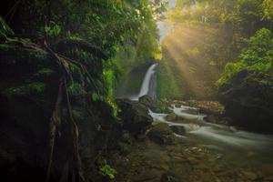 beautiful morning view with sunshine at waterfall in tropical forest photo