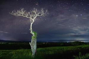 panoramic night on the mountain with a starry sky, beautiful night constellations in Indonesia photo