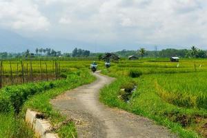 infraestructura vial de aldea en agricultura y campos de arroz en bengkulu, indonesia foto