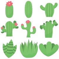 conjunto de lindos cactus o suculentos, ilustración vectorial en estilo plano vector