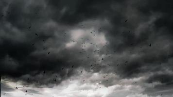 Gloomy Sky background video dark for cinematic projects