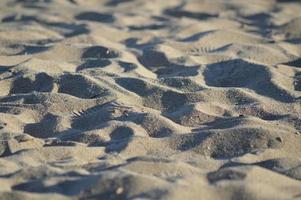 On the Beach photo